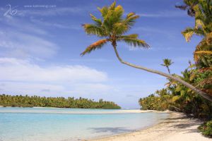 cook islands-5.jpg